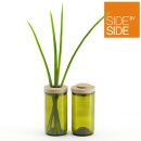 Side by Side Vase & Vorrats-Dose aus Glas und Holz, grün