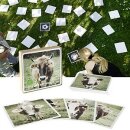 Gedächtnis-Spiel für Draussen / Kuh Garten-Memo